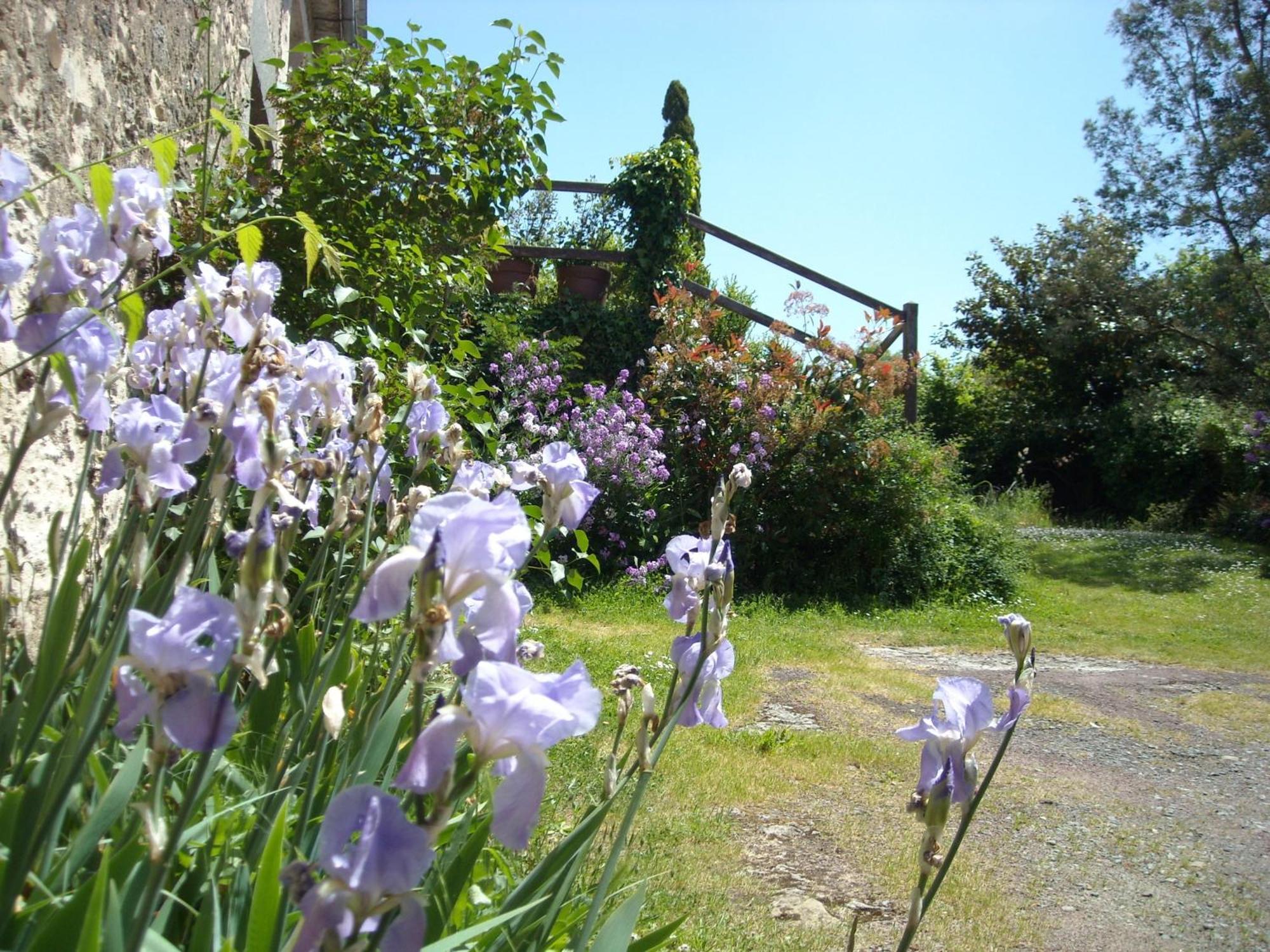 La Tour Des Laudes Bed and Breakfast Breuil-Barret Buitenkant foto